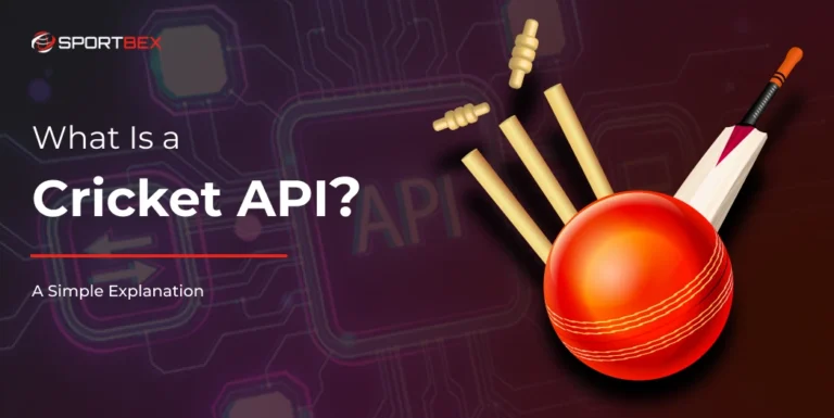What is a Cricket API? A Simple Explanation